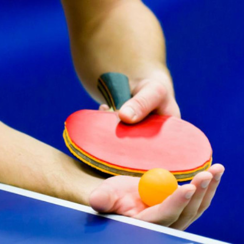 Rosa Bonheur à l'Ouest x Le Club de Tennis de Table d'Asnières